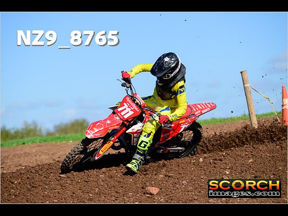 Experts-266