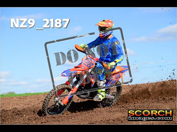 Experts-315