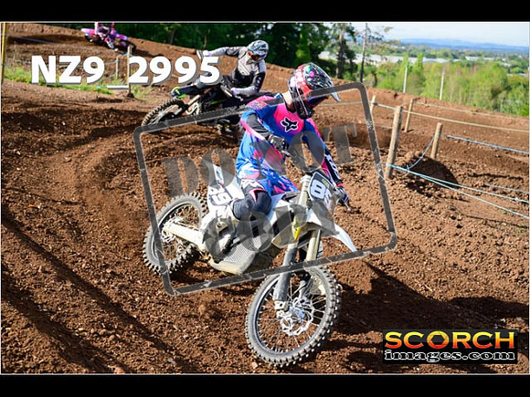 Experts-190