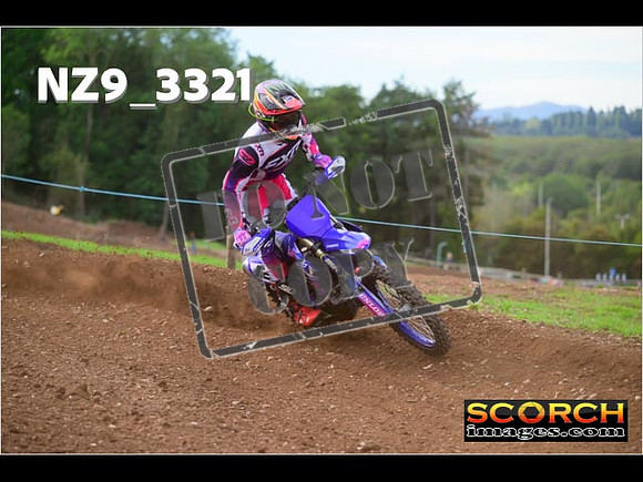 Experts-284