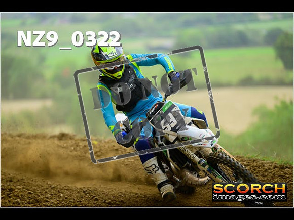 Experts-274