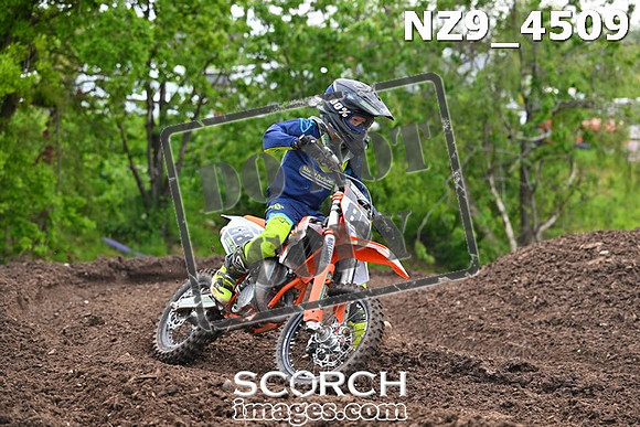 NZ9_4509