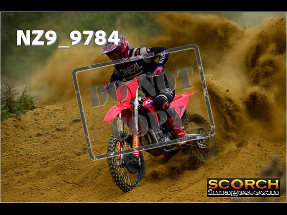 Experts-206