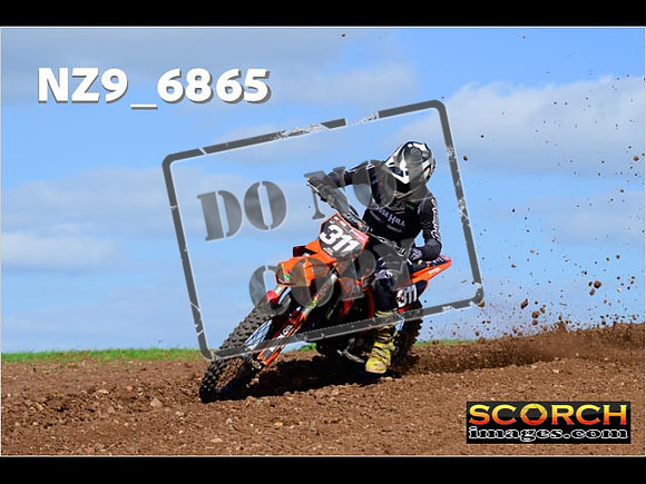 Experts-359