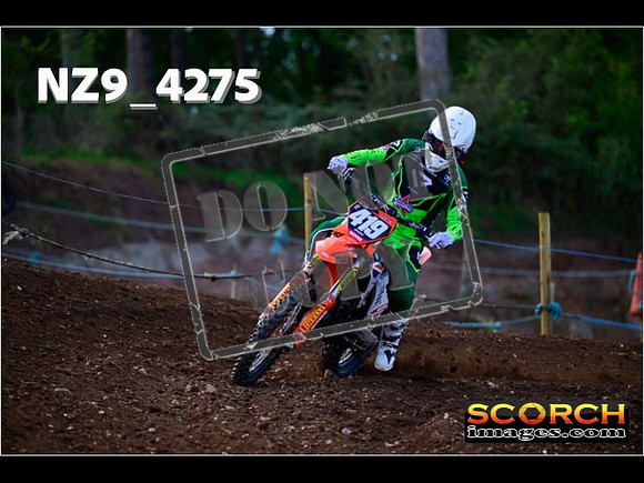 Experts-137