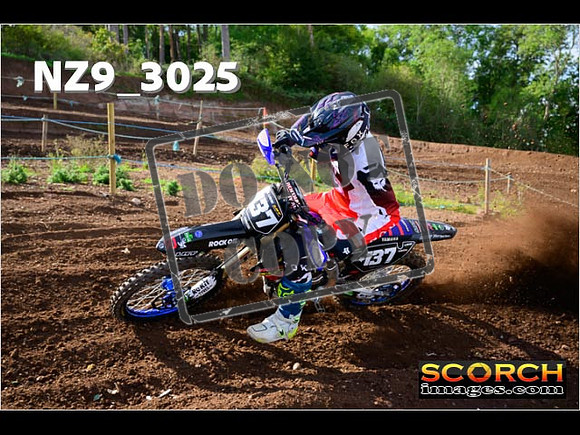 Experts-219