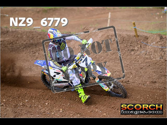 Experts-276