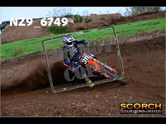 Experts-248