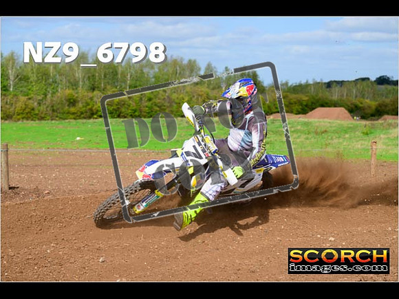 Experts-294