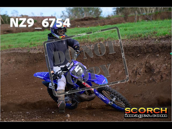 Experts-253