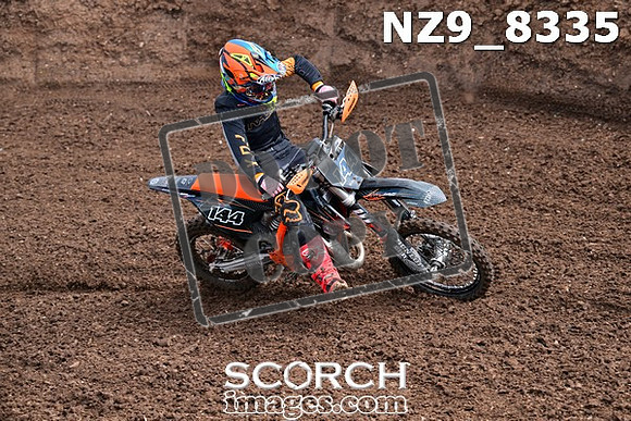 NZ9_8335