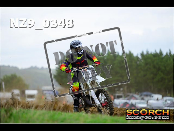 Experts-299