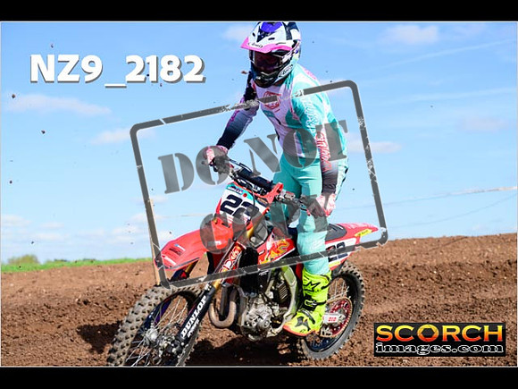 Experts-310