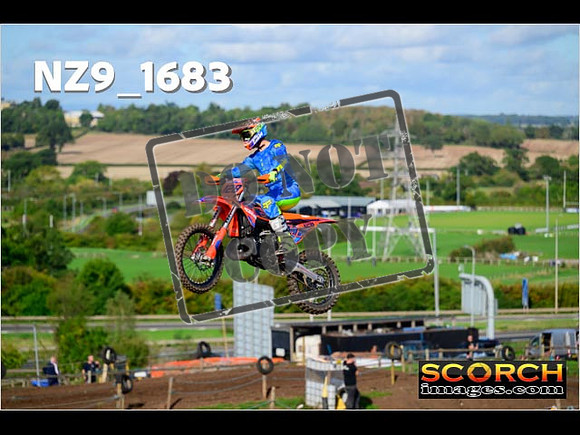 Experts-115