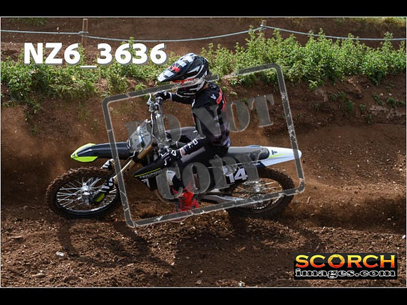 Experts-062