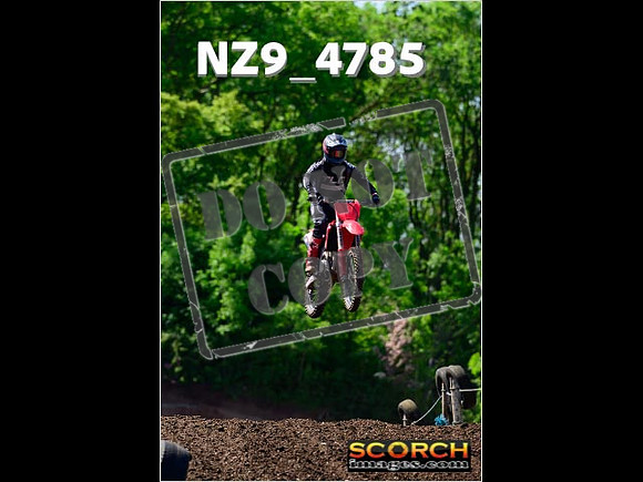 Experts-124