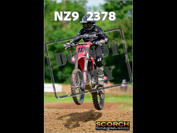 Novice-225