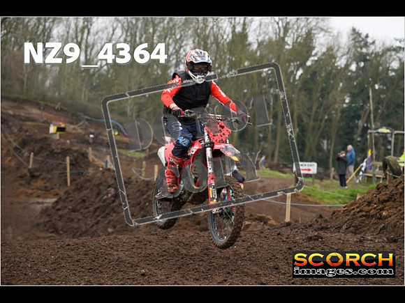 Experts-210