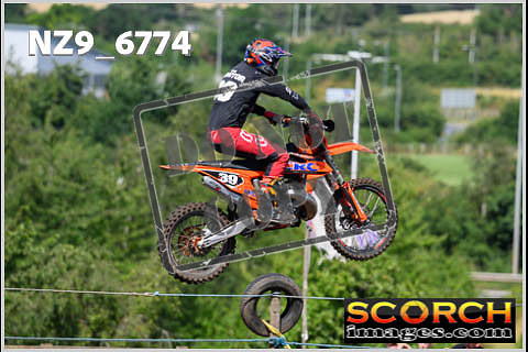 Experts-215