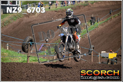 Experts-149