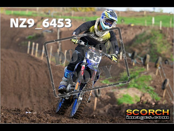 Experts-068