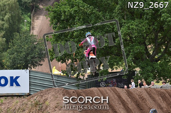 NZ9_2667