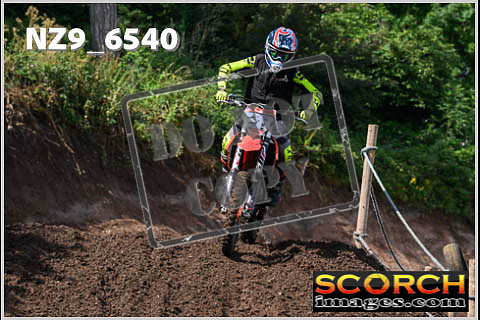 Inters Green Orange-073