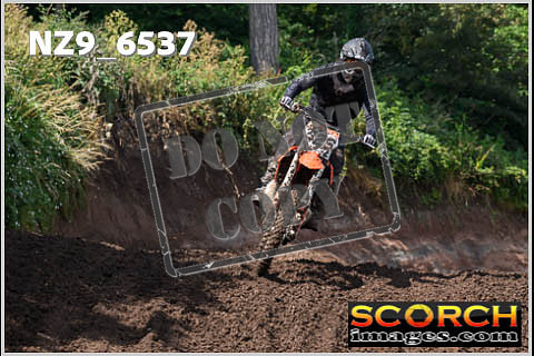 Inters Green Orange-070