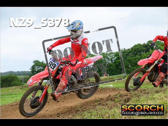 Experts-313
