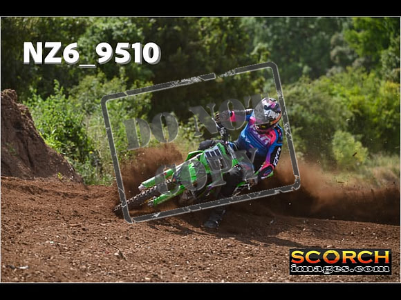 Experts-273