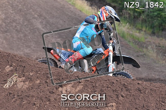 NZ9_1842