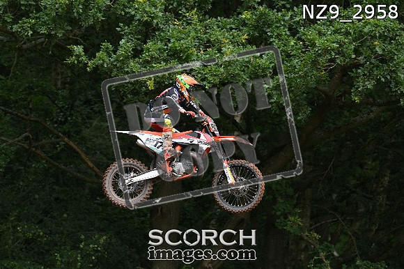 NZ9_2958
