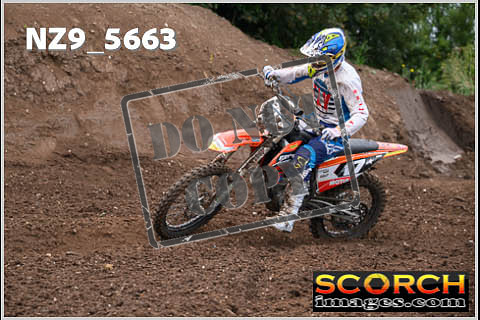 Orange Group-135