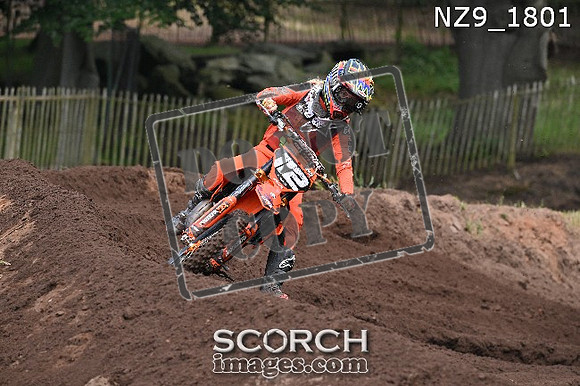 NZ9_1801
