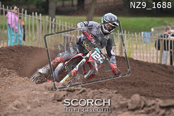 NZ9_1688