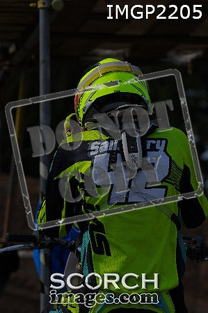 IMGP2205