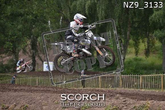 NZ9_3133
