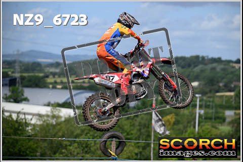 Experts-169