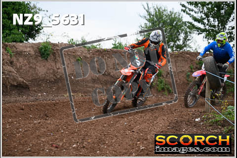 Orange Group-104