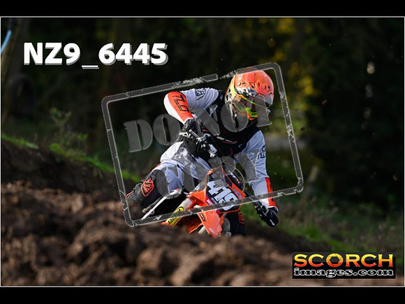 Experts-060