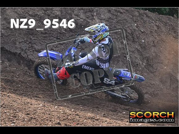 Experts-066