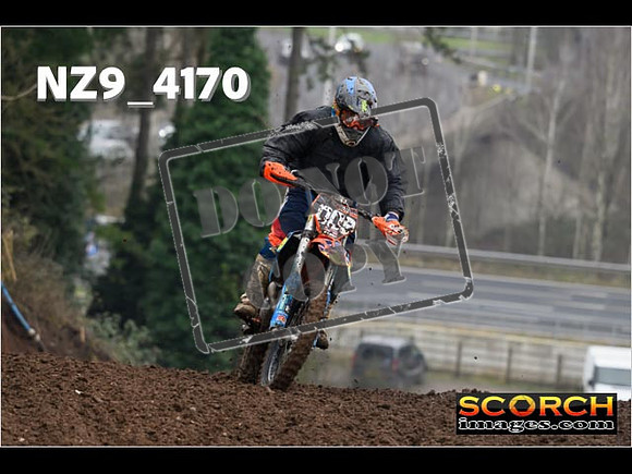IntersGreen-068