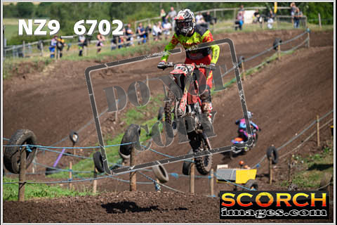 Experts-148