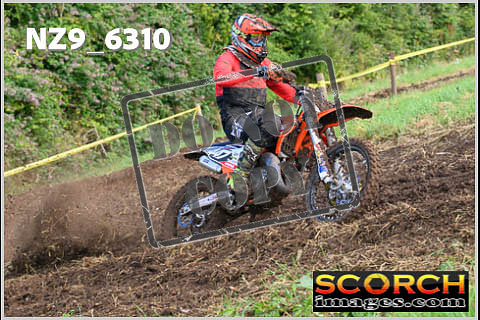 Experts-124