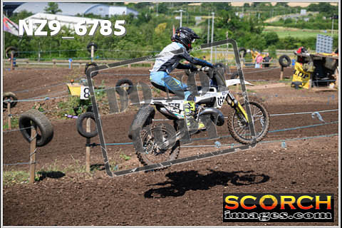 Experts-226