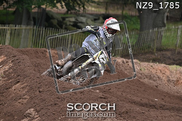 NZ9_1785