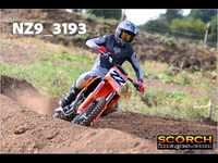 Experts-011