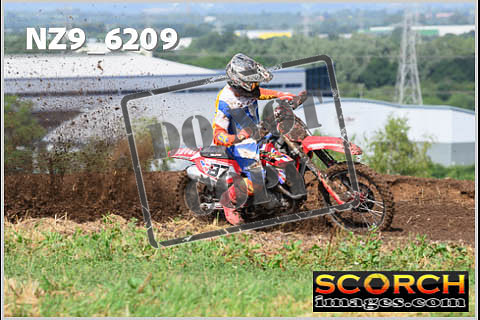 Experts-031