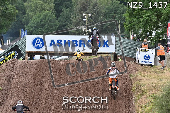 NZ9_1437
