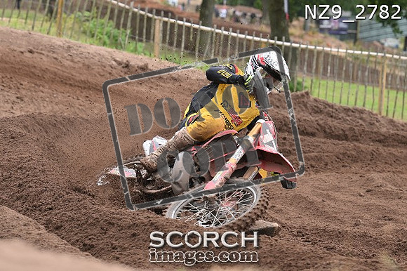 NZ9_2782